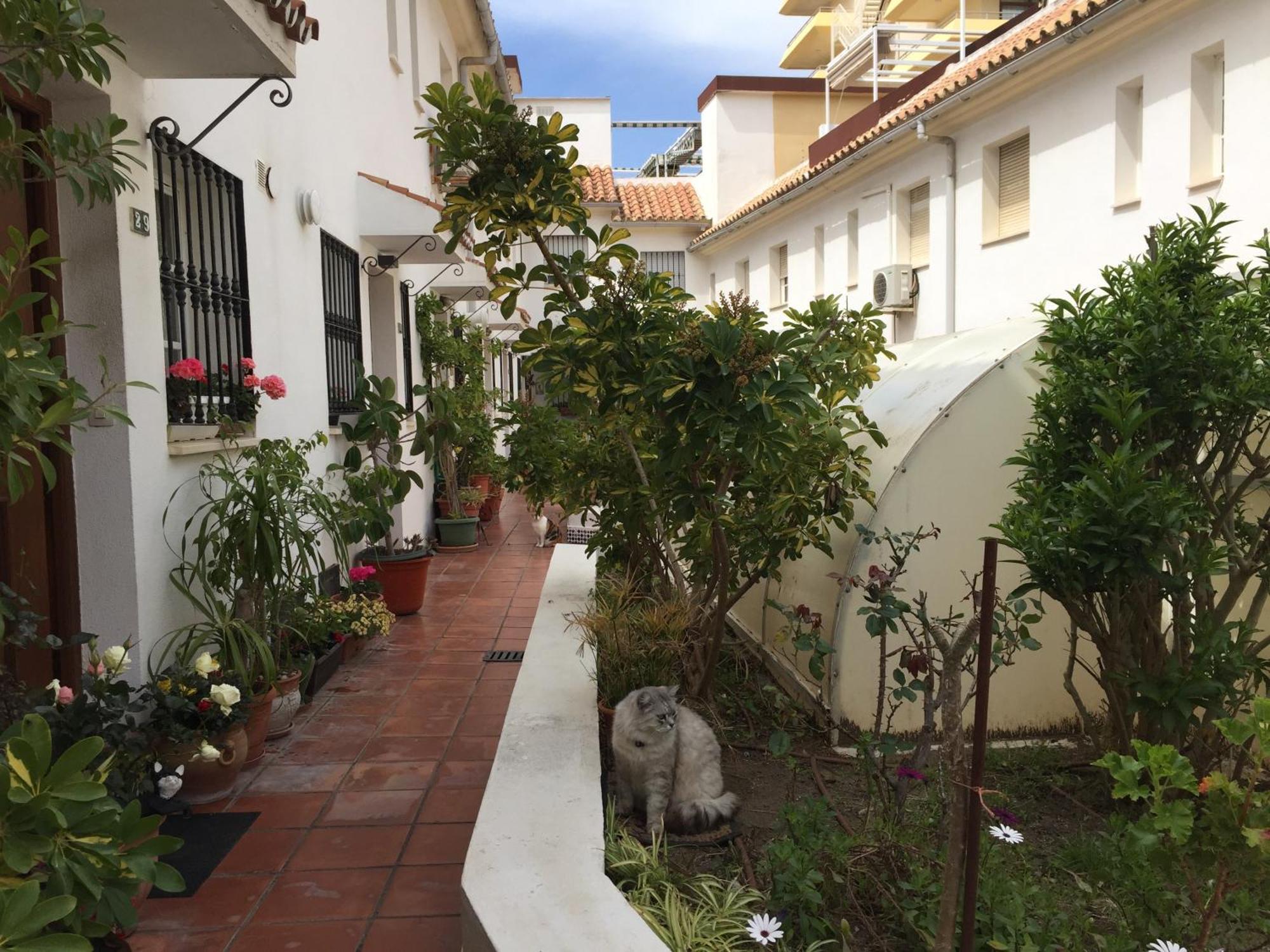 El Cortijuelo. Magnificent Triplex Terraced House With Rooftop Of 18M2, Overlooking The Sea. Parking Торремолинос Экстерьер фото